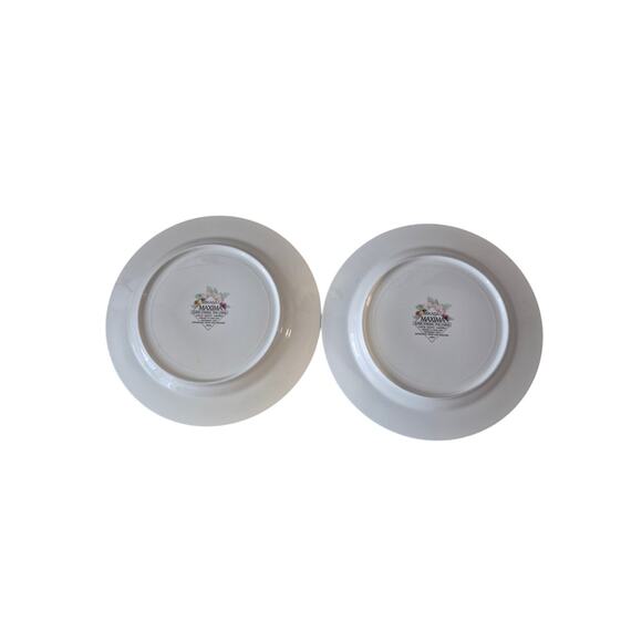 Vintage Mikasa Maxima Exotic Gardens Dinner Plates 10 1/2 Spring Picnic Set of 2 - Picture 4 of 9